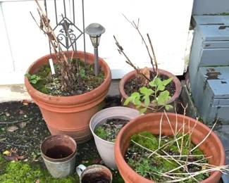 Simple Garden Pots