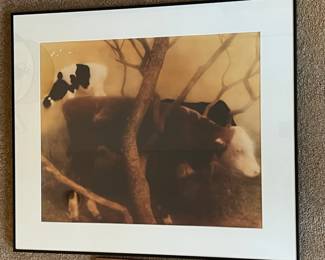 P89 - $15. Framed poster of cows. Poster has some damage - frame & matting are nice. Measures 29.5" x 25". 