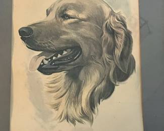P24 - $25. Golden Retriever Print Signed "Elliott" Measures 15" x 17". Wooden Framed is worn but adds to the character. 