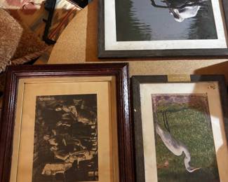 Framed wildlife prints