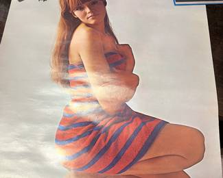 'Show them everything' poster featuring Helen Reddy 