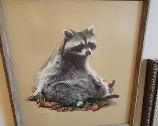 charles fracé. raccoon print signed