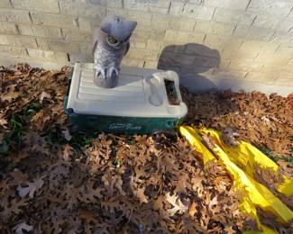 For working in garden