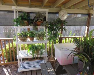 Shelves, Artificial Plants