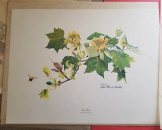 Sallie Ellington Middleton Limited Edition Prints, Signed and Numbered. 