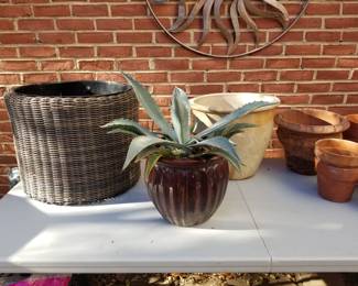 Garden Planters, some with Agave Plants