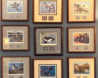 Collection of framed Federal and State Duck Stamp prints.