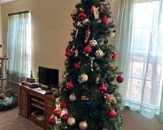 Christmas tree
Ornaments 