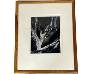 ANSEL ADAMS (American, 1902-1984) Sequoia Yosemite Special Edition Silver Gelatin Print
