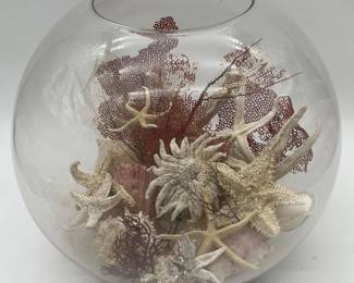 55 NaturalSeashellsStarfishandCoralinGlassGlobe