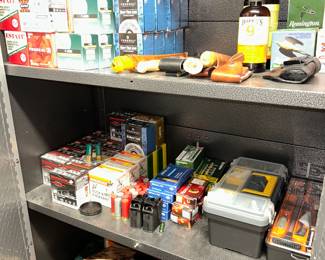  Bullets and Shotgun shells 