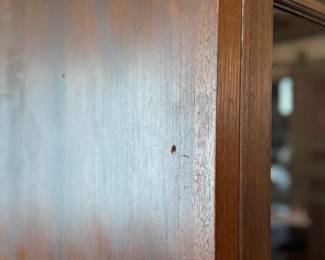 This lot features a large, solid wood cabinet with glass pane doors that measures, 84” H x 52” W x 13.5” D. This cabinet comes locked (no key) and without shelves.

