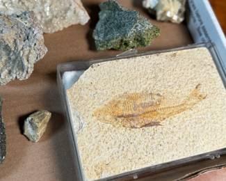 This lot features a curated collection of various rocks and minerals.

