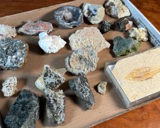 This lot features a curated collection of various rocks and minerals.

