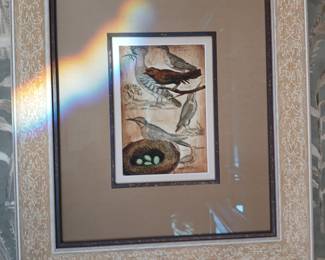 collectible avaiary print