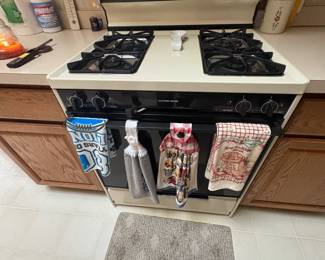 . . . Tappan gas stove