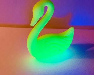 CUSTARD URANIUM SWAN