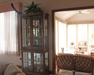 Curio Cabinet Lighted