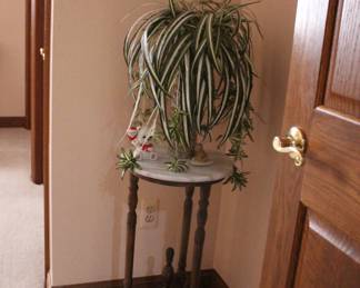 Plant Stand