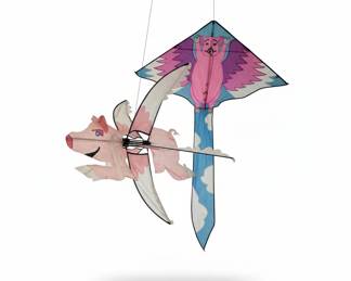 Flying Pig Kite and Flying Pig Spinner 