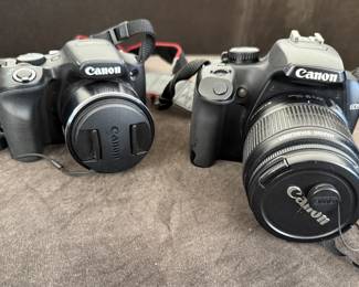 Canon EOS Rebel & EFS 18-55 (right)
Canon Powershot SX530 (left)