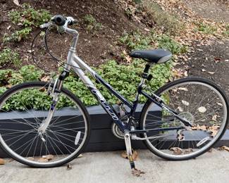 Fuji Crosstown bicycle