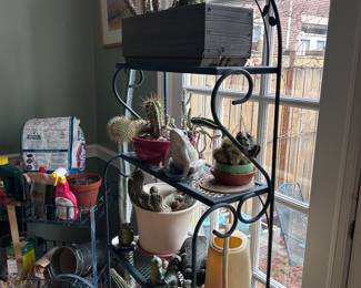 Plant stand, cacti