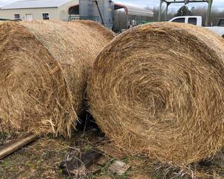 5x5 ROUND HAY BALE