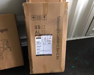 16.5 TELESCOPIC LADDER