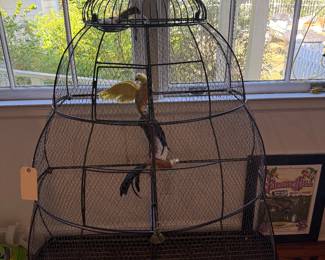 Large Bird Cage 