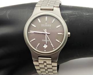 Skagen Watch
