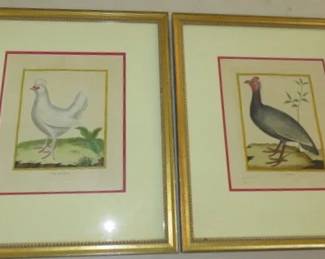 Antique Hand-Colored Engravings of birds by Francois Nicolas Martinet