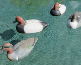 Dozens of Duck Decoys, Avian - X Topflight, Pro-Grade Canvasback and more