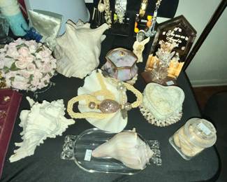 COLLECTION OF LARGE SHELLS