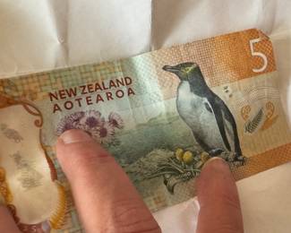 Lots of foreign currency