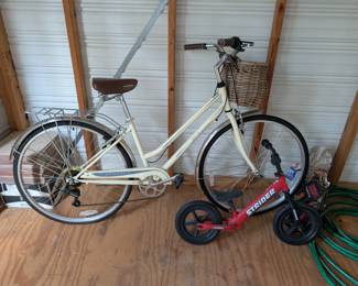 #4 Schwinn Gateway Bicycle $175