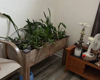 Indoor growing plant bed