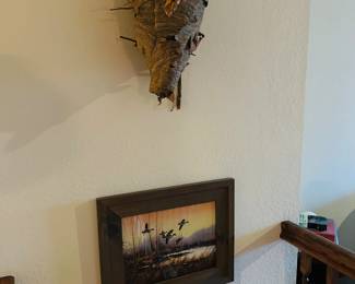 Paintings, wasp nest