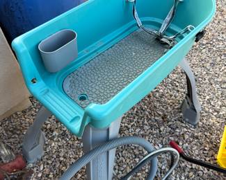 Animal cleaning station 