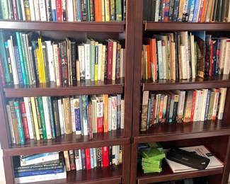 Bookshelf full of books