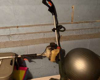 Exercise ball and edger