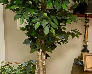 FAUX FICUS IN PLANTER BOX