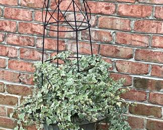 CEMENT URN WITH FOLIAGE & WROUGHT IRON TRELLIS