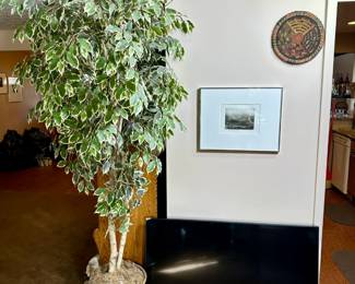 TV, decorative tree, framed art