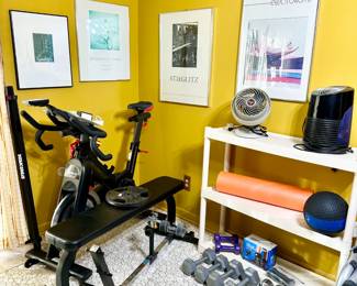 Spt mag exercise bike, weight bench, free weights, bike stabilizer 