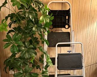2 of 3 step ladders. Great full artificial plant.