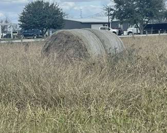 Greenhouse Farm Liquidation in Beasley Tx includes two rolled large hay bales ready to be moved.