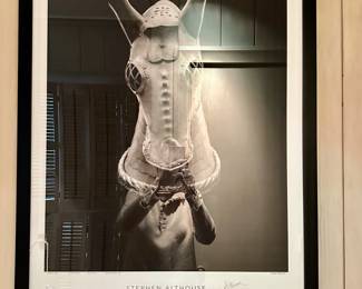 Poster about a horse - no idea why the photographer did this one - come get it - the horse isn't alive - won't bite.