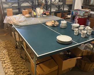 Ping Pong Table