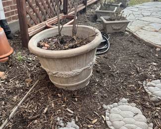 Concrete Pots